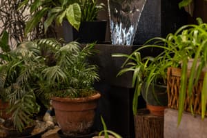 listings.show.sections.photos.alt